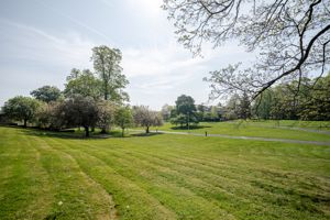 20 The Old College- click for photo gallery